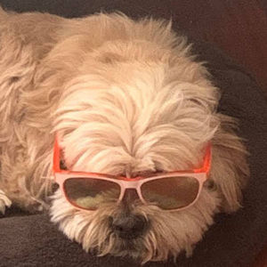 Meet your Posher, Logan